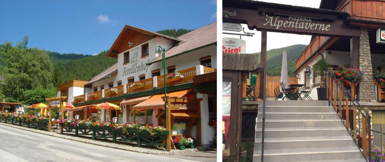 Haus Lenz Ferienwohnungen - Fam Ostermann Пухберг ам Шнееберг Екстериор снимка